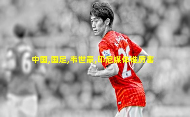 中国,国足,韦世豪,印尼媒体谁厉害