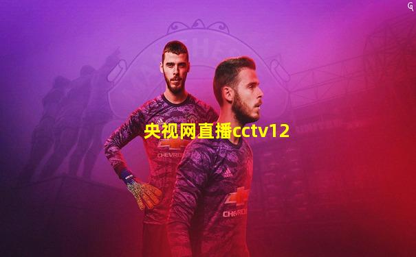 央视网直播cctv12